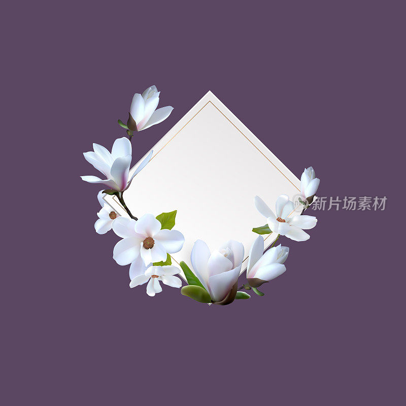 Banner, Greeting card with magnolia flowers, Card with realistic magnolia. Premade arrangement flowers.